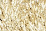Polished Barite Slab - Lubin Mine, Poland #302398-1